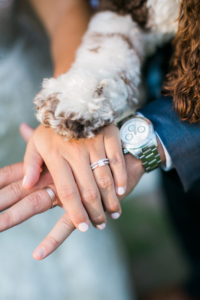 Bride hand with grooms hand and their dogs paw during their Wrightsville Manor wedding in Wilmington NC