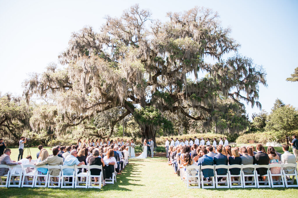 Under a blue summer sky a bride and groom say their vows during a wedding ceremony in Airlie Gardens beneath a giant Live Oak Tree.